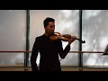 mahler symphony no 1 movement iv violin excerpt beginning to reh 8