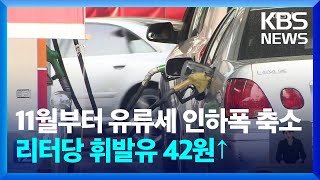 11월부터 유류세 인하폭 축소…리터당 휘발유 42원↑ / KBS  2024.10.23.