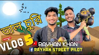 গাছ থেকে তালের রস নামিয়ে কি কি করলাম।। VLOG  05।। Rayhan StreeT Pilot