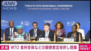 【速報】WTO　食料安全保障など盛り込む閣僚宣言を採択(2022年6月17日)