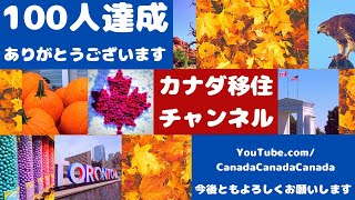 124【100名達成記念】おかげさまでチャンネル登録100人達成しました｜ありがとうございます｜カスタムURL設定しチャンネルアートも一新しました｜今後ともよろしくお願いします