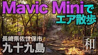 Mavic Miniでエア散歩！