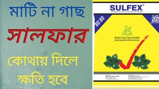 সালফারের কাজ ও ব্যবহার পদ্ধতি  ll Uses of Sulphur in plants .