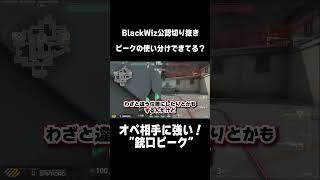 オペを惑わす！銃口ピークとは #shorts #blackwiz #valorant #northeption