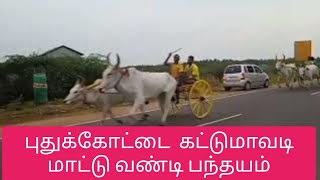 Pudukkottai Kattumavadi rekla race mattu vandi panthayam | கட்டுமாவடி  மாட்டுவண்டி எல்கைப் பந்தயம் |