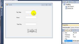 Visual Basic (VB) Total Pay Adding Hot Key