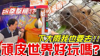 下大雨我也要去！(頑皮世界野生動物園)-還有拳擊機玩《牛舌趴趴走 EP 7》