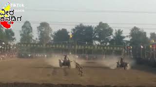 Mandya bule race 2019