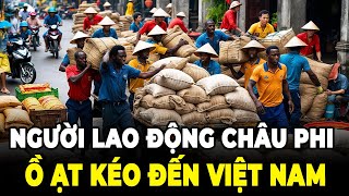 Vì Sao Người Dân Châu Phi Đổ Xô Qua Việt Nam Bốc Vác, Lao Động?