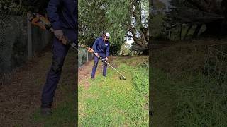 Testing the AEG 18V Line Trimmer and attachments #lawncare #lawncare101 #gardeningtips