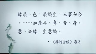 三乘菩提概說 025 略說十八界(下)