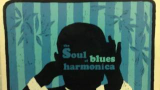 Shakey Horton - Good Moanin Blues.wmv