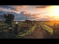 RELAXING || 1 HOUR || Soul-Reviving Melodies for Farmers || Blissful Tones