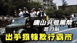 唐山頭號黑惡組織菜刀隊，出手狠辣欺行霸市，最終下場如何？ #案件 #探案 #懸案 #懸疑 #案件解說