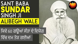 ਕਿਵੇ 60 ਗਊਆਂ ਸੰਤਾ ਦੇ ਵਿਯੋਗ ਵਿੱਚ ਦਮ ਤੋੜ ਗਈਆਂ - SANT BABA SUNDAR SINGH JI ALIBEGH WALE | BachittarNet