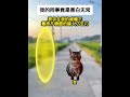 《非凡打工》第72～73集 猫meme 猫meme小剧场