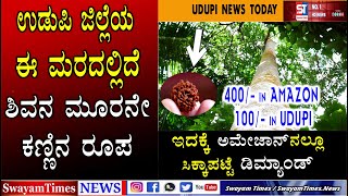 Namma Kudla | Udupi News | Third form of Lord Shiva's Eyes found in Udupi | Original Rudraksha mala