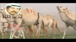 كليب ياعين صبرك ياعين