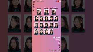 JKT48 Team T History