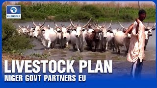 Niger Government, EU Meet Over Livestock Development