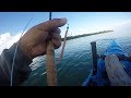 06.15.17 Bait And Tarpon On The Fly