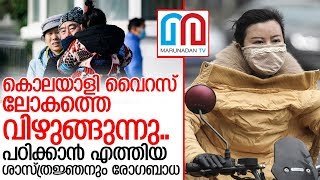 ചൈനീസ് അതിര്‍ത്തി കടന്ന് കൊലയാളി വൈറസ് അമേരിക്കയിലേക്കും I China news