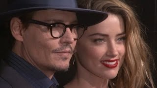 Amber Heard Facing 10 Years in Prison Over Bringing Dogs To Australia