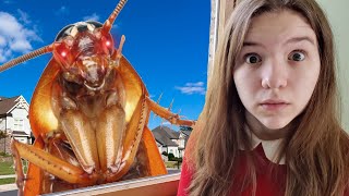 GIANT COCKROACH INVASION!