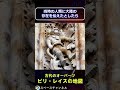 古代オーパーツ「ピリ・レイスの地図」 スペースチャンネル