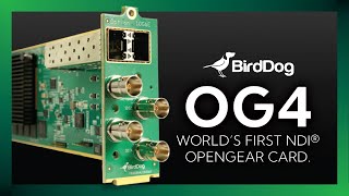 BirdDog openGear OG4