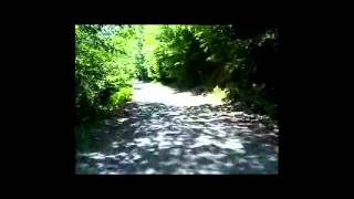 Biking Valea Cosustei -