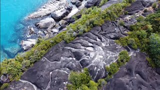 Anse Major nature Trail ,#seychelles  #mahe .