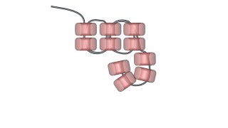 Double Brick Stitch animated