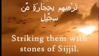 105 Surah al Feel  Mishary Rashid al afasy  English Subtitles