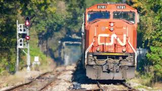 Railfanning 10/21/22 feat. 3 unit Amtrak 59, CN 3015, fallen flags, and more with @kevintumminello6776