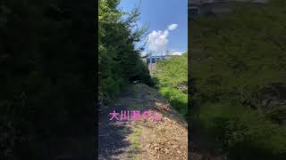 🦫【正面の大川瀬ダム】 #癒し #自然