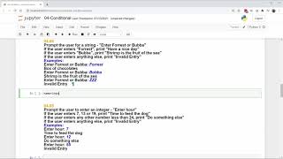 Python Practice Problems - 04 Conditional Execution