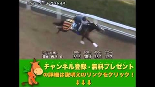 ダービー卿チャレンジトロフィー（GIII） ダッシングブレイズ調教動画　「競馬レース結果ハイライト」2016年