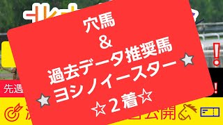 【北九州記念2024】現在6番人気のアノ馬から勝負します‼️競馬予想❗GET評価を絡めた激アツ馬券を公開🐴🎫‼️