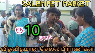 சேலம் செல்லப்பிராணி சந்தை | pet market in tamil | fancy pet market  | market market