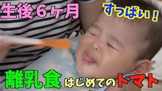 【離乳食】赤ちゃんが生まれて初めてトマトを食べてみた反応【生後６ヶ月ベビー】