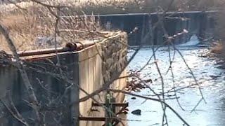 Along the Nashua River