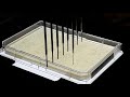 Automated picking of E.coli colonies from agar plates