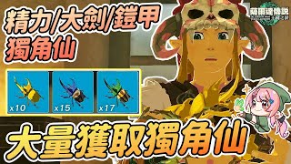 🪲大量入手3種獨角仙的方式 | 精力 大劍 鎧甲獨角仙【薩爾達傳說:王國之淚】