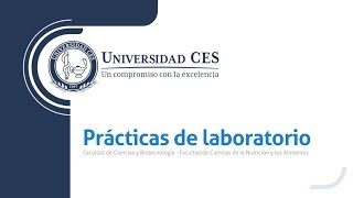 Guías Prácticas de laboratorio - Practica 2 - Juan Pablo Lopera Vélez