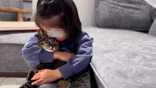 5歳娘の目線から見た猫達との世界観が可愛すぎました