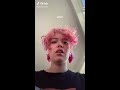 chaotic animals tiktok compilation 🤪 🤟🏻