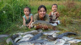 Harvest giant fish ponds to sell at the market - cook food for pigs, with your children