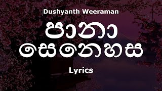 Dushyanth Weeraman - පානා සෙනෙහස  Paana Senehasa Lyrics