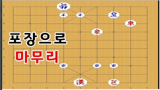 장기박보 - 포가어디로 가면 외통일까요 ? 박보장기